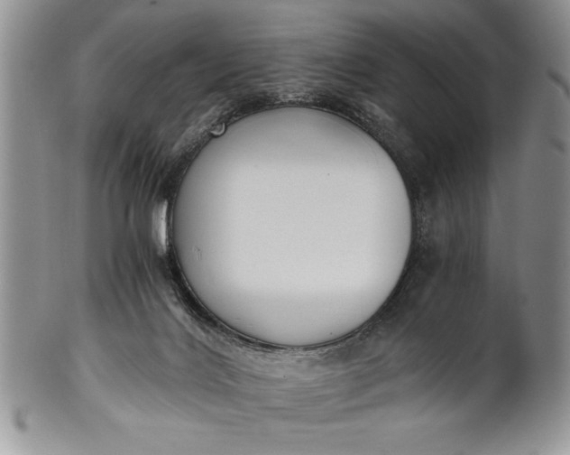 X0000101950028200808011055