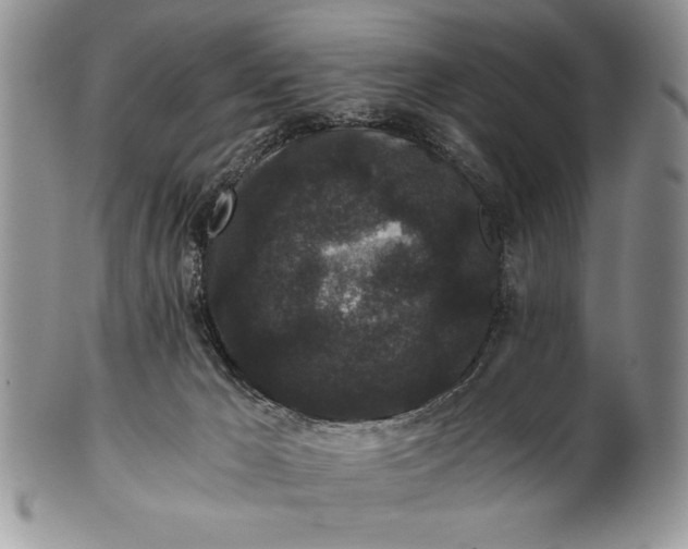 X0000101950029200808011055