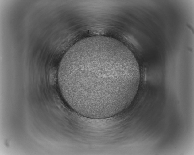 X0000101950030200808011055