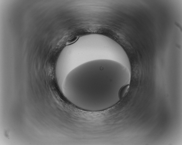 X0000101950031200808011055