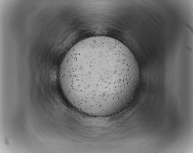 X0000101950032200808011055