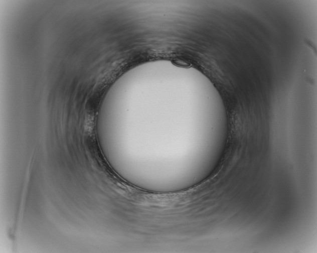 X0000101950033200808011055