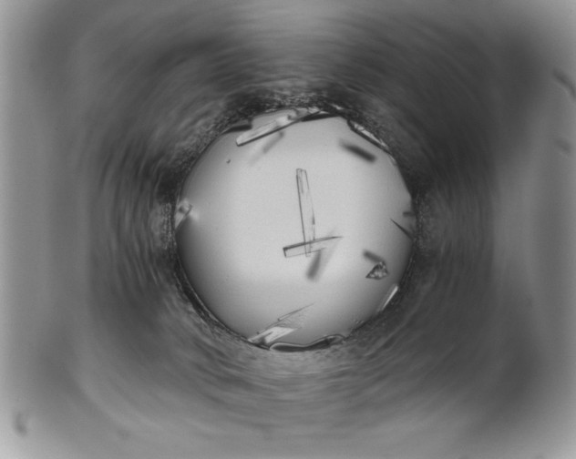 X0000101950034200808011055