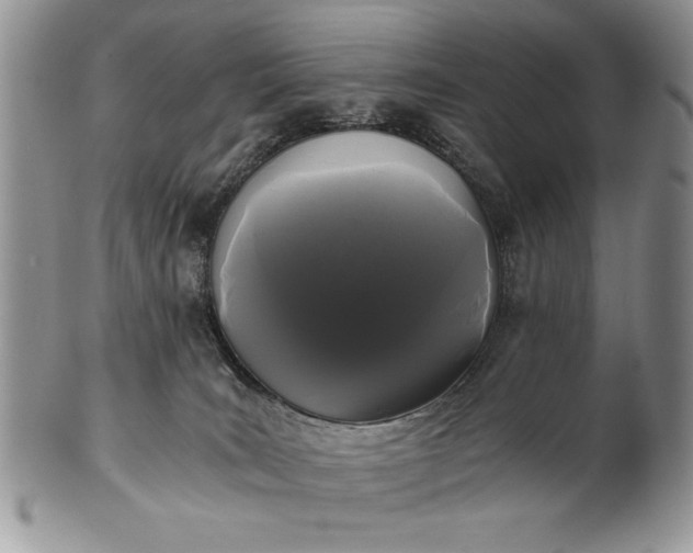 X0000101950035200808011055