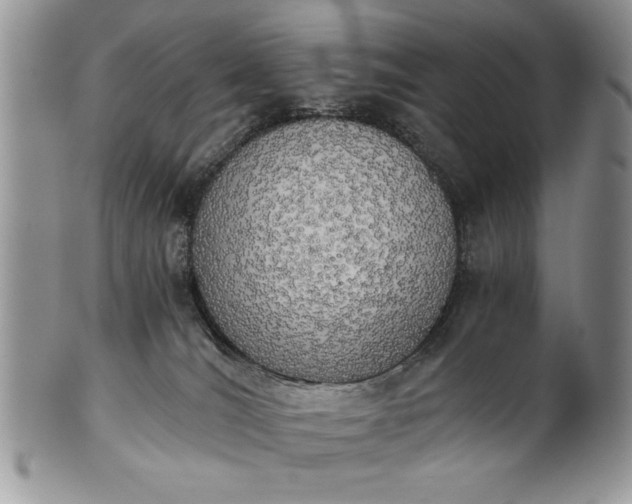 X0000101950036200808011055