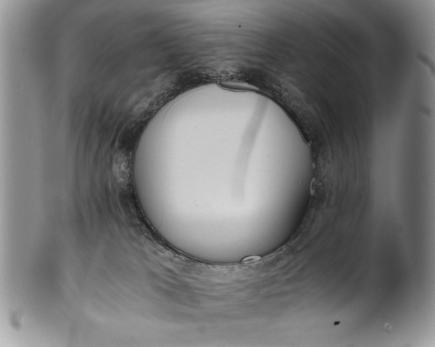 X0000101950037200808011055