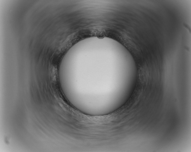 X0000101950038200808011055