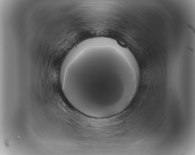 X0000101950039200808011055