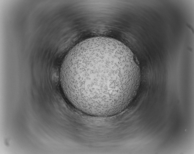 X0000101950040200808011055