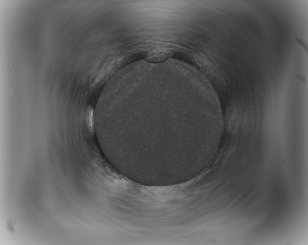 X0000101950041200808011055