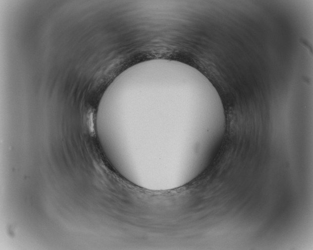 X0000101950042200808011055