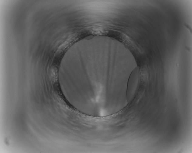 X0000101950043200808011055