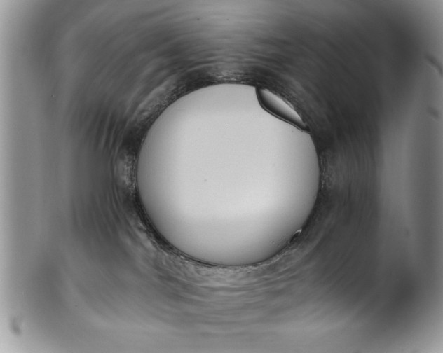 X0000101950044200808011055