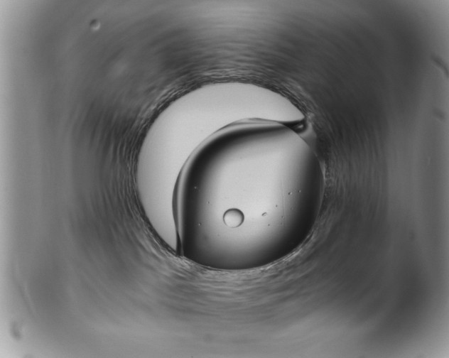 X0000101950045200808011055