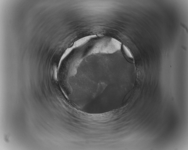 X0000101950046200808011055