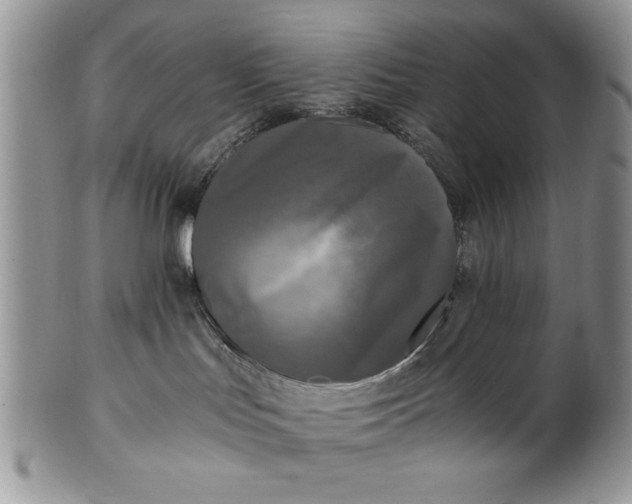 X0000101950047200808011055