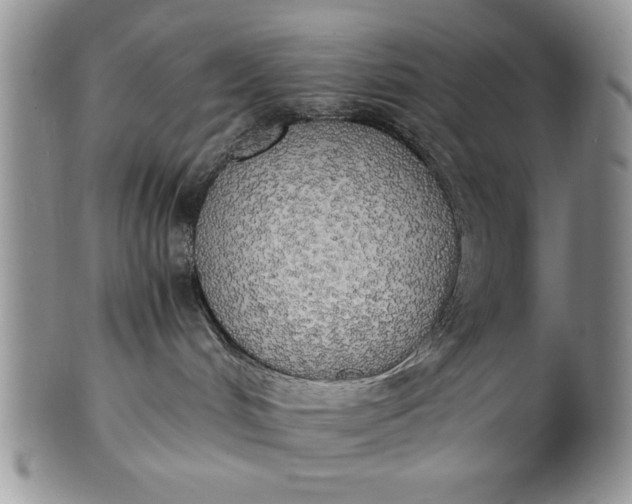 X0000101950048200808011055