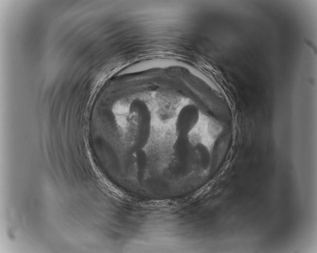 X0000101950049200808011054