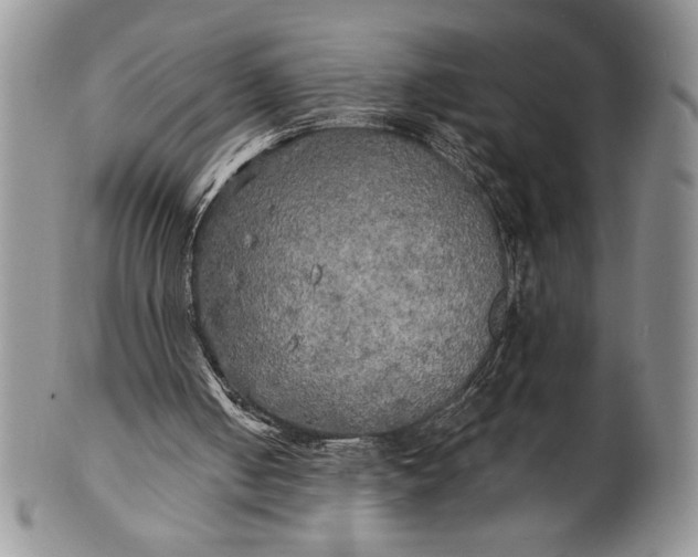 X0000101950050200808011054