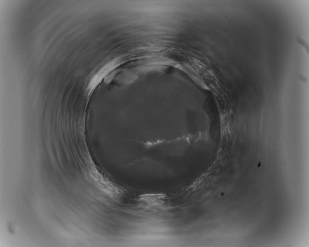 X0000101950051200808011054