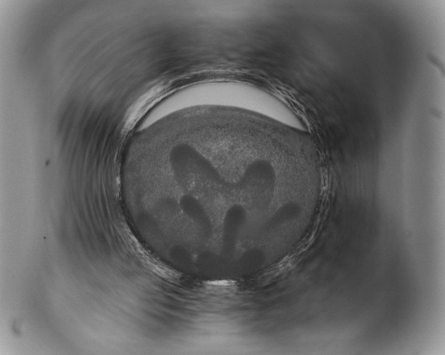 X0000101950053200808011054