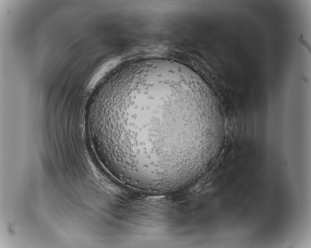 X0000101950054200808011054