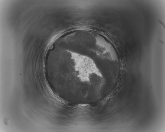 X0000101950055200808011054