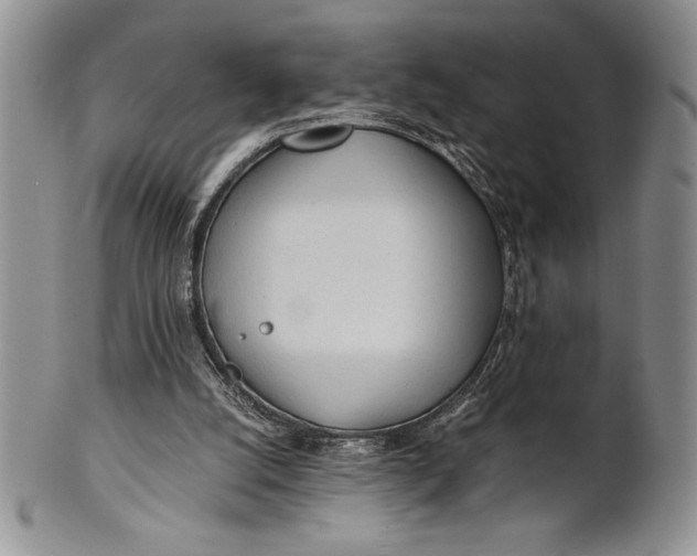 X0000101950056200808011054