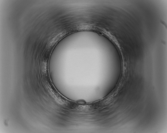 X0000101950057200808011054