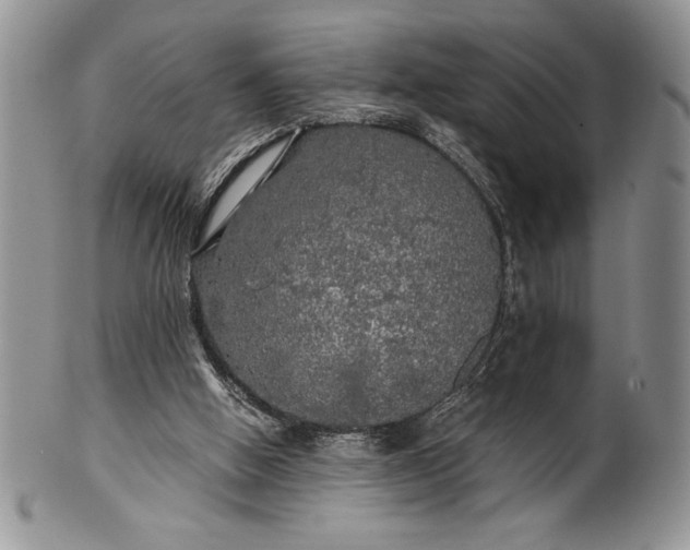 X0000101950058200808011054