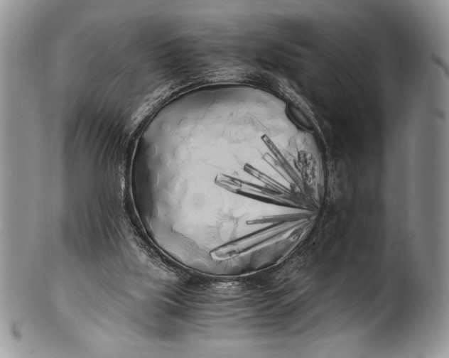 X0000101950059200808011054