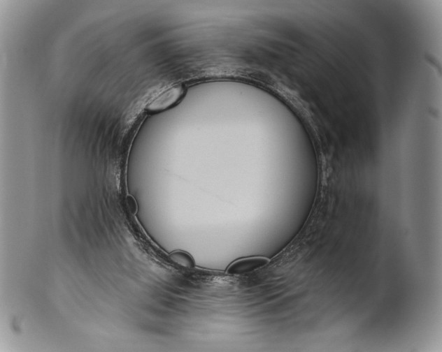 X0000101950060200808011055