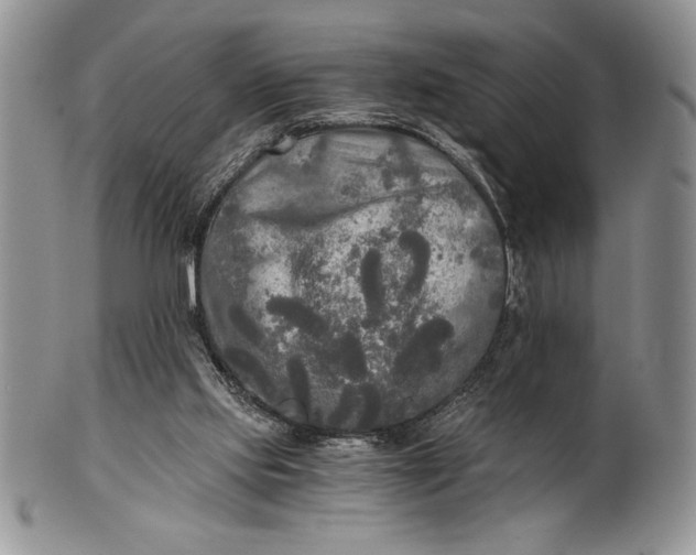 X0000101950061200808011055