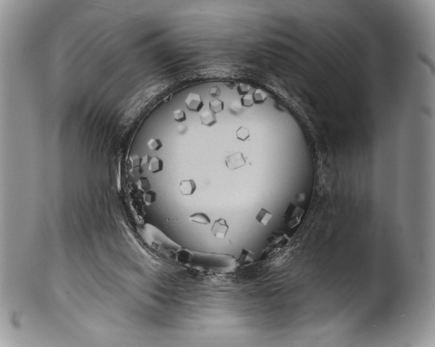 X0000101950062200808011055