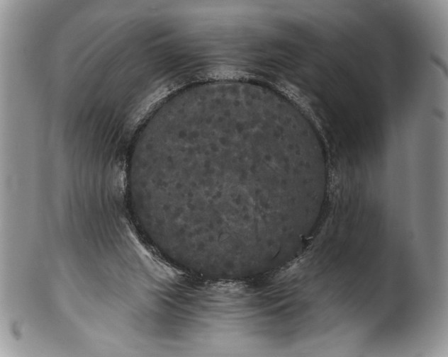 X0000101950063200808011055