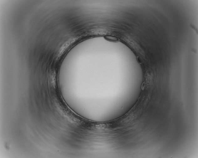 X0000101950064200808011055