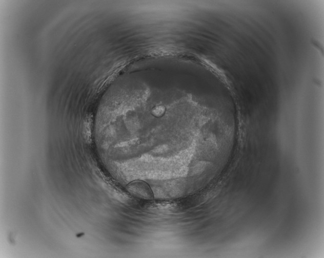 X0000101950065200808011055