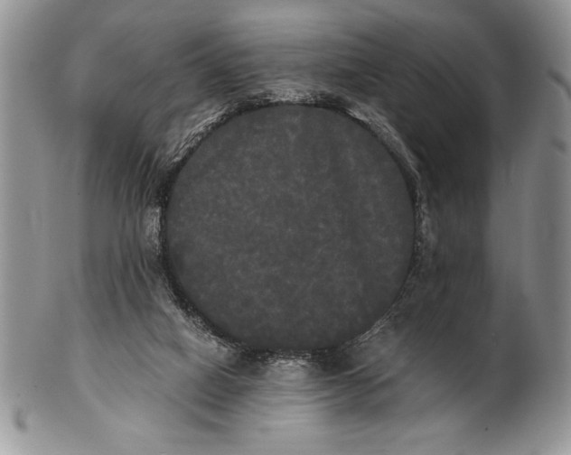 X0000101950066200808011055