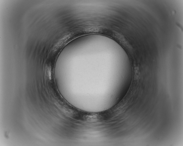 X0000101950068200808011055