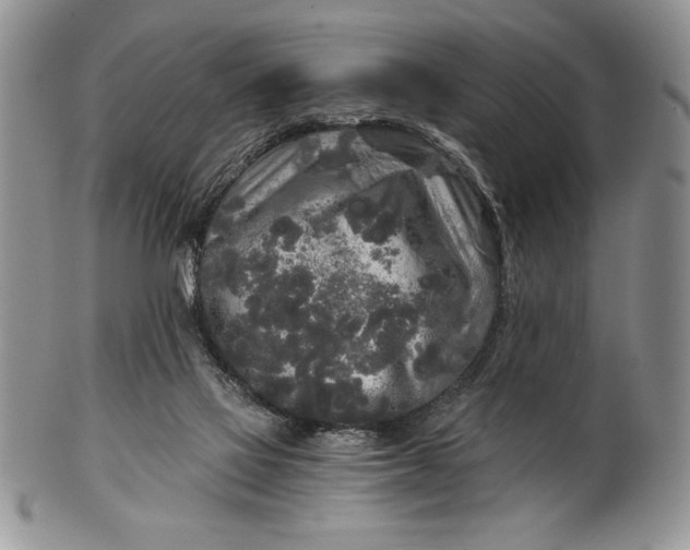 X0000101950069200808011055