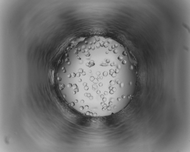 X0000101950070200808011055