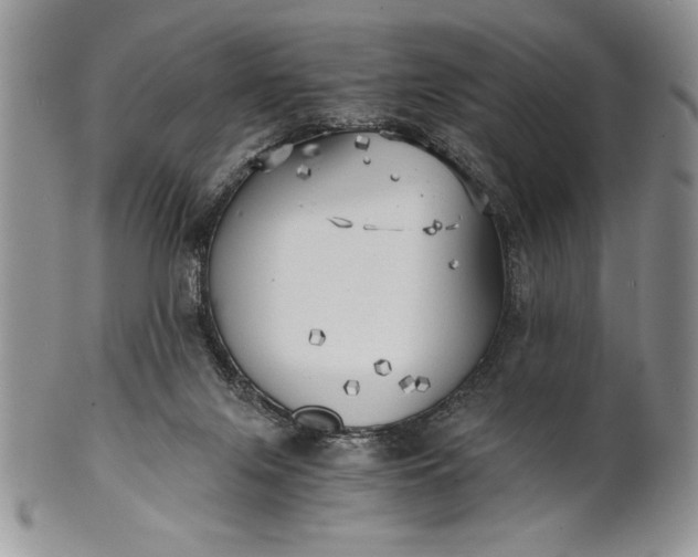 X0000101950071200808011055