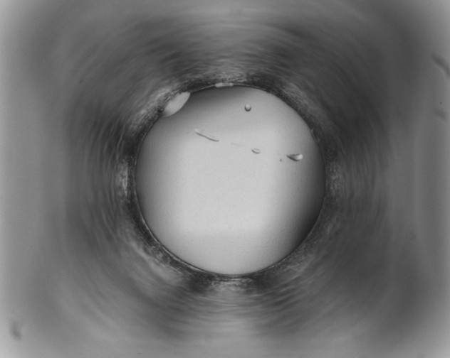 X0000101950072200808011055