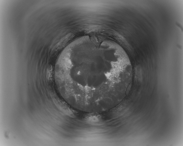 X0000101950073200808011055