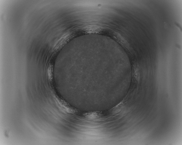 X0000101950074200808011055