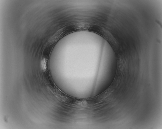 X0000101950075200808011055