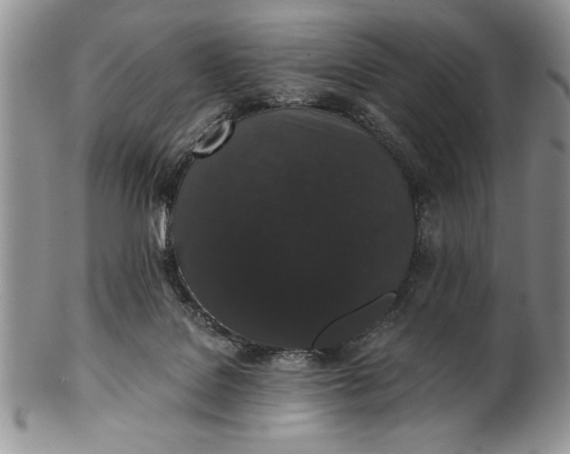 X0000101950076200808011055