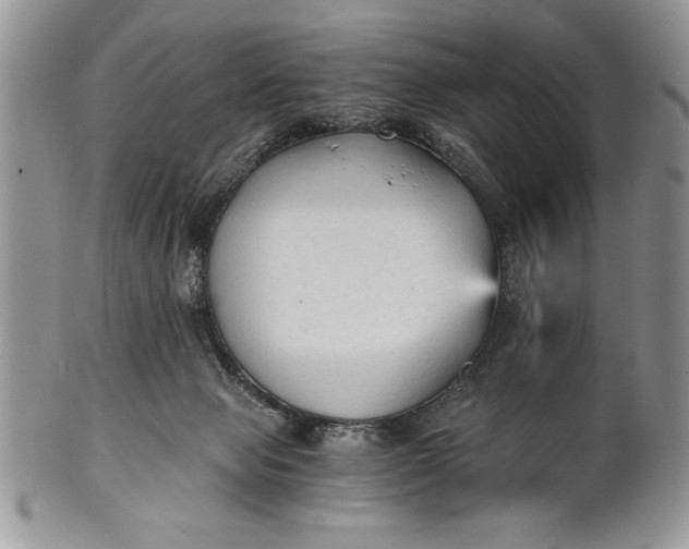 X0000101950077200808011055