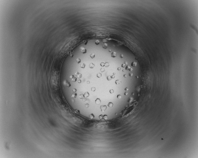 X0000101950078200808011055