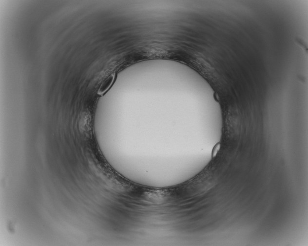 X0000101950079200808011055